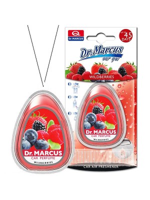 ΑΡΩΜΑ CAR GEL (ΕΠΙΛΟΓΗ ΑΠΟ 4 ΑΡΩΜΑΤΑ)
